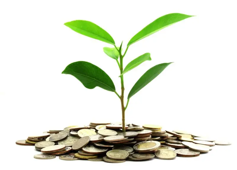 Инвестиции SKF в сохранение экологии | Свежие новости в Севастополе