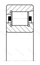 Подшипник  NF 311 (12311) размер 55x120x29